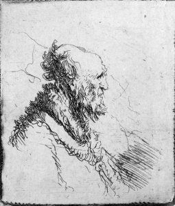 A bald old Man with a short Beard, in Profile Right