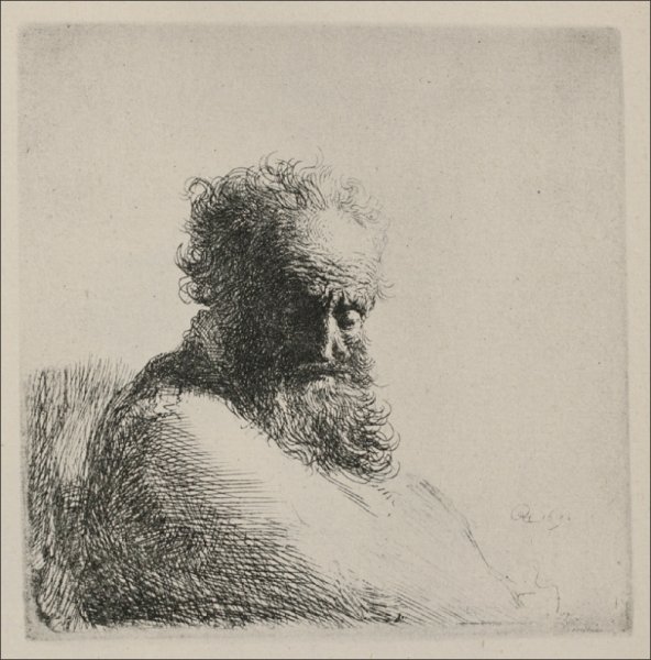 Bust Of An Old Bearded Man, Looking Down, Three Quarters Right