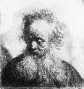 Old Man With Flowing Beard Looking Down Left 1631