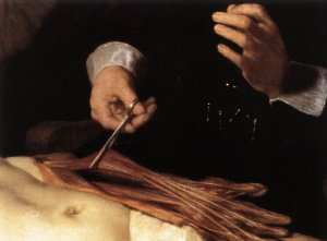 The Anatomy Lecture of Dr. Nicolaes Tulp (detail) 1632