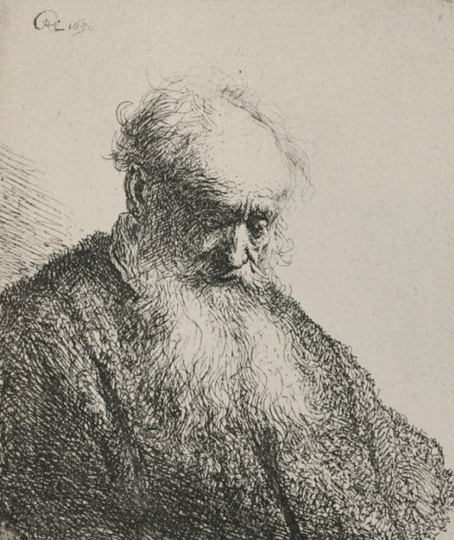 An Old Man with a Beard