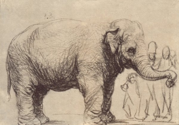 An Elephant